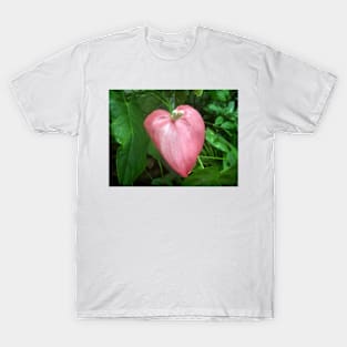 Love Nature T-Shirt